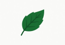 Eco-Friendly Icon